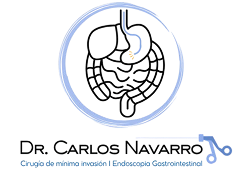 Cirugía General y Endoscopia Gastrointestinal en
                             Puebla - Dr. Carlos Armando Navarro Castañeda